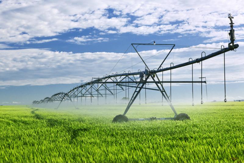 Irrigation system waters crops
