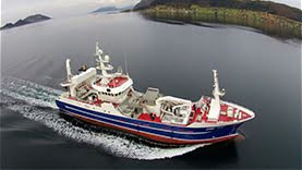 Pacelli Fishing Vessel